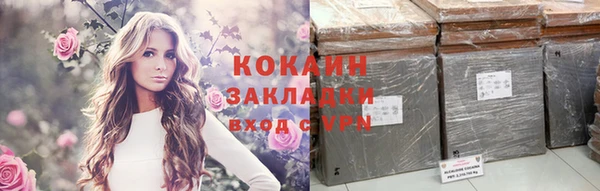дживик Майский