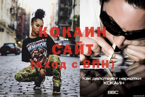 дживик Майский