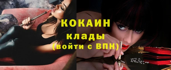 спиды Магас
