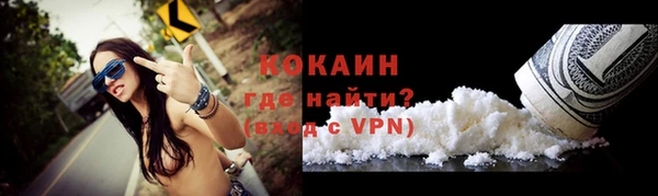 дживик Майский