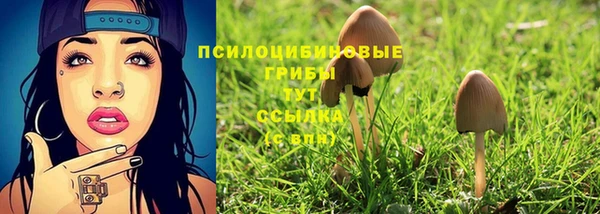 мескалин Магадан