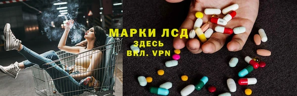 спиды Магас