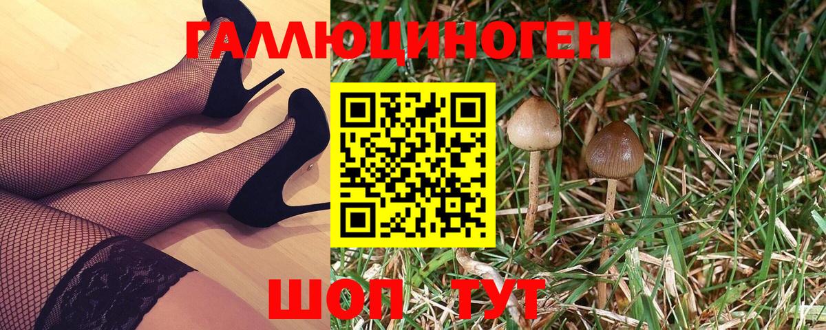 Галлюциногенные грибы Psilocybine cubensis Тула