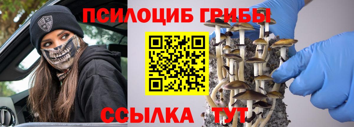 Тула  Псилоцибиновые грибы прущие грибы  Вход с VPN 